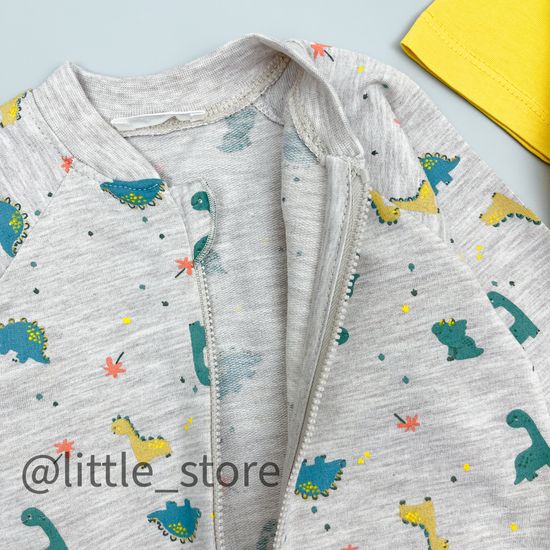 Комплект из футера "Roaring dinosour" с футболкой