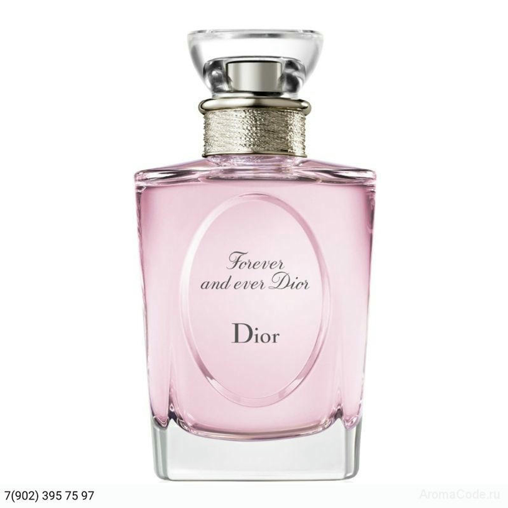 Christian Dior Forever And Ever