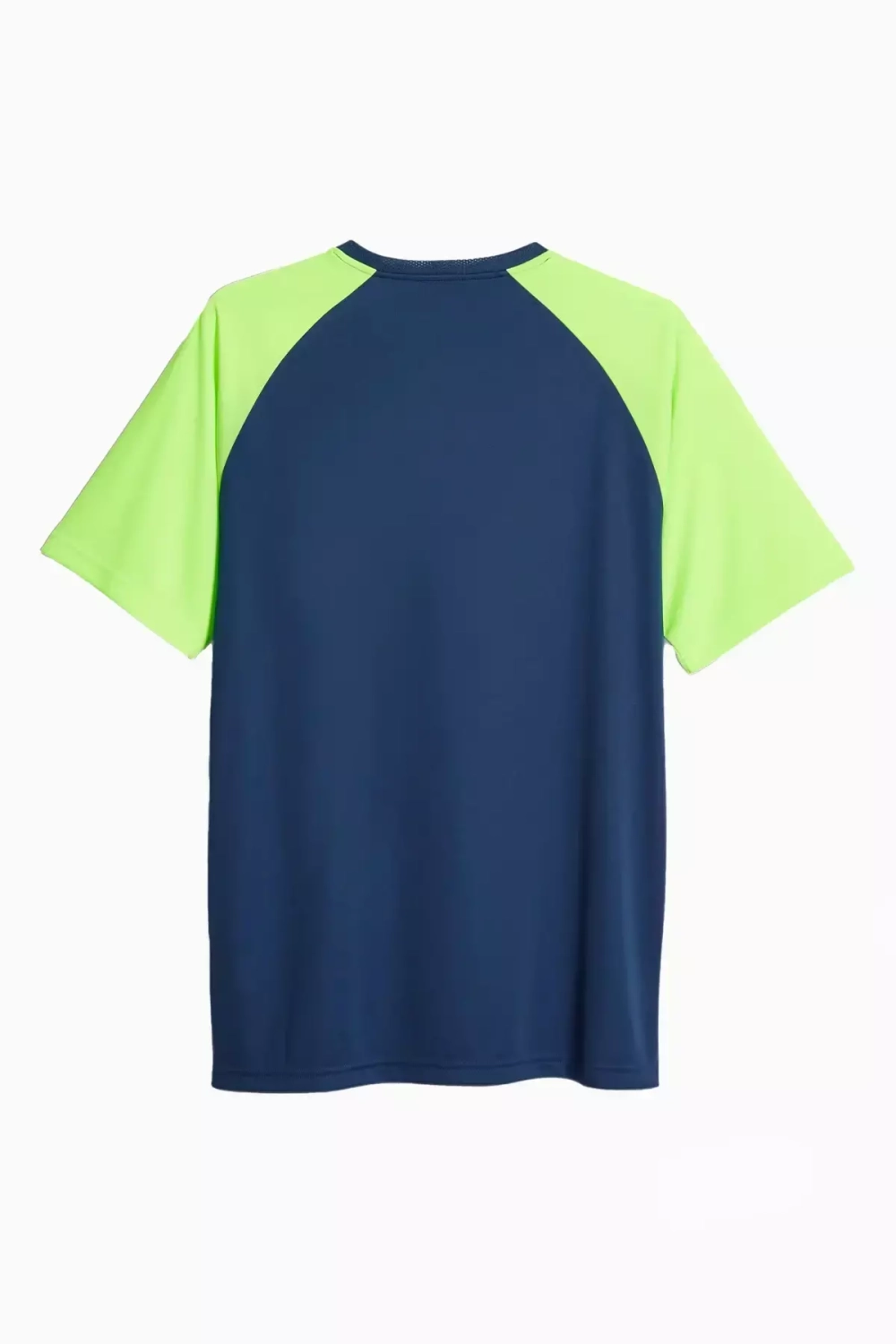 Футболка Puma teamLIGA Graphic