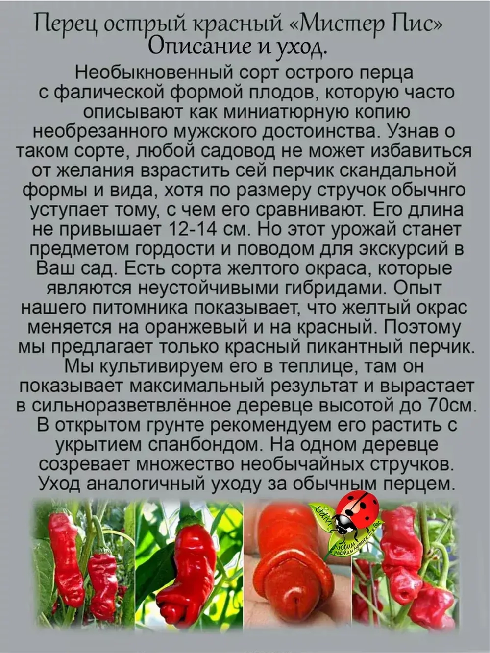Перец острый Мистер Пис Чили Вилли