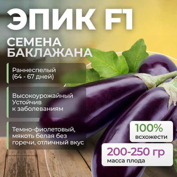 ЭПИК F1 семена баклажана (Seminis) купить