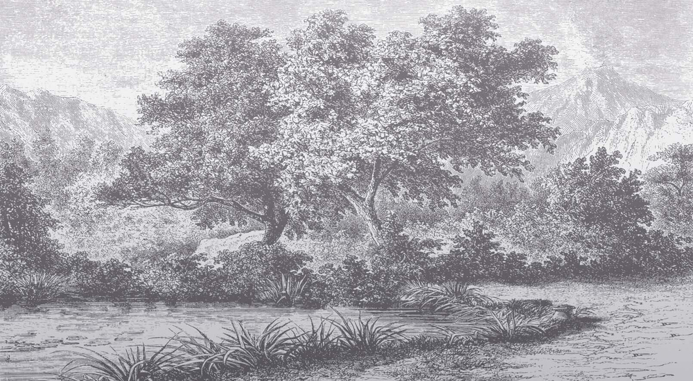 Дизайнерские обои Wall Street Estampe