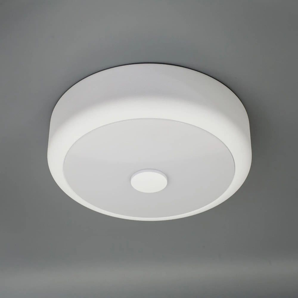 Citilux Фостер-1 CL706110 LED Светильник с диммером Белый