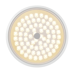 Потолочный светильник Freya FR10012CL-L24W