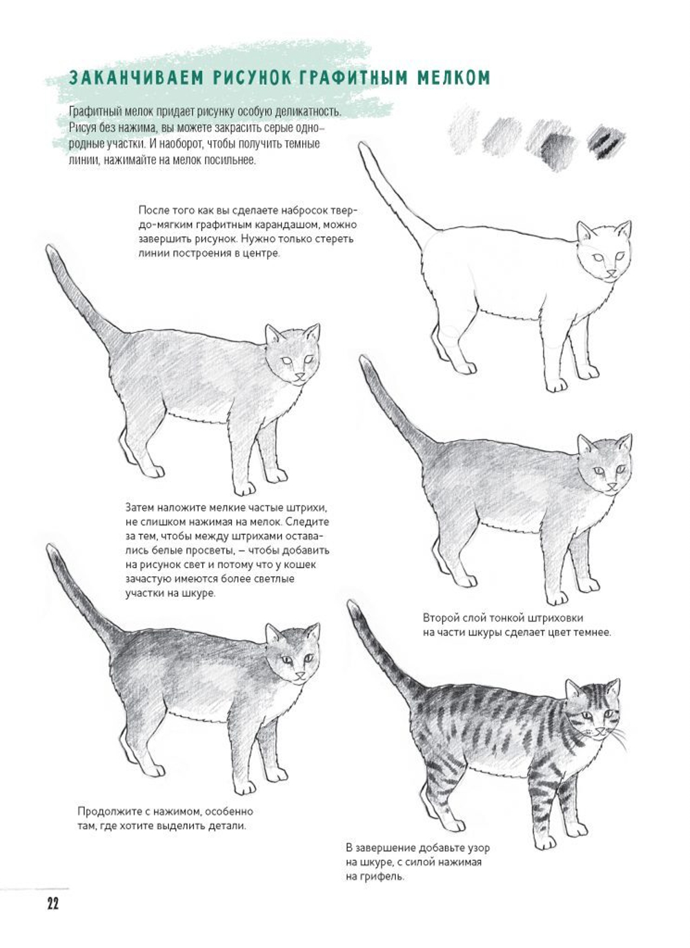 Скетчбук Создаем наброски животных и птиц шаг за шагом: 50 проектов с подробными объяснениями и рисунками