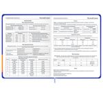 Дневник 1-11 класс 48 л., твердый, BRAUBERG, матовая ламинация, резинка, закладка-ляссе, с подсказом, "Гусь", 107237