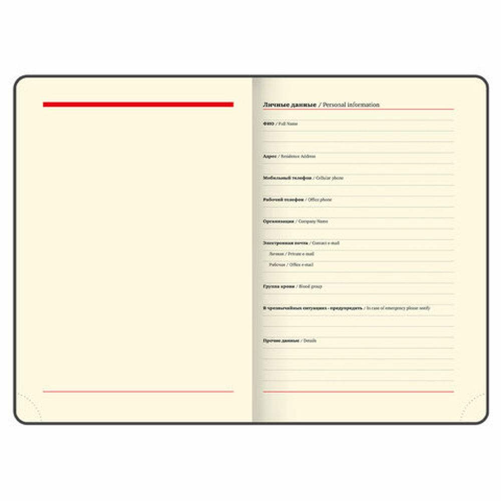 Ежедневник недатированный БОЛЬШОЙ ФОРМАТ 210х297 мм А4, BRAUBERG "Iguana", под кожу, 160 л., черный,114452