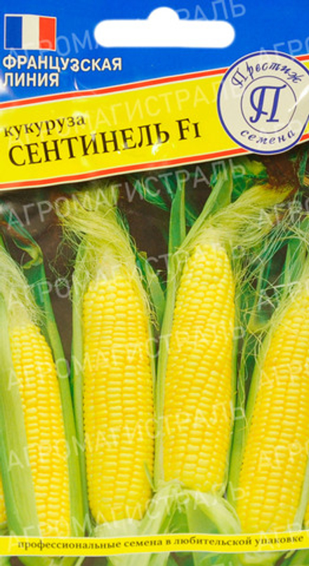 Кукуруза Сентинель Престиж Ц