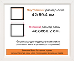 Рама 42x59,4 для картин и фотографий RP0780858-09