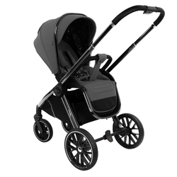Pituso Коляска 2 в 1 Mayla Luxury Dark Grey