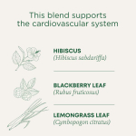 Traditional Medicinals, органический гибискус, без кофеина, 16 чайных пакетиков, 28 г (0,99 унции)