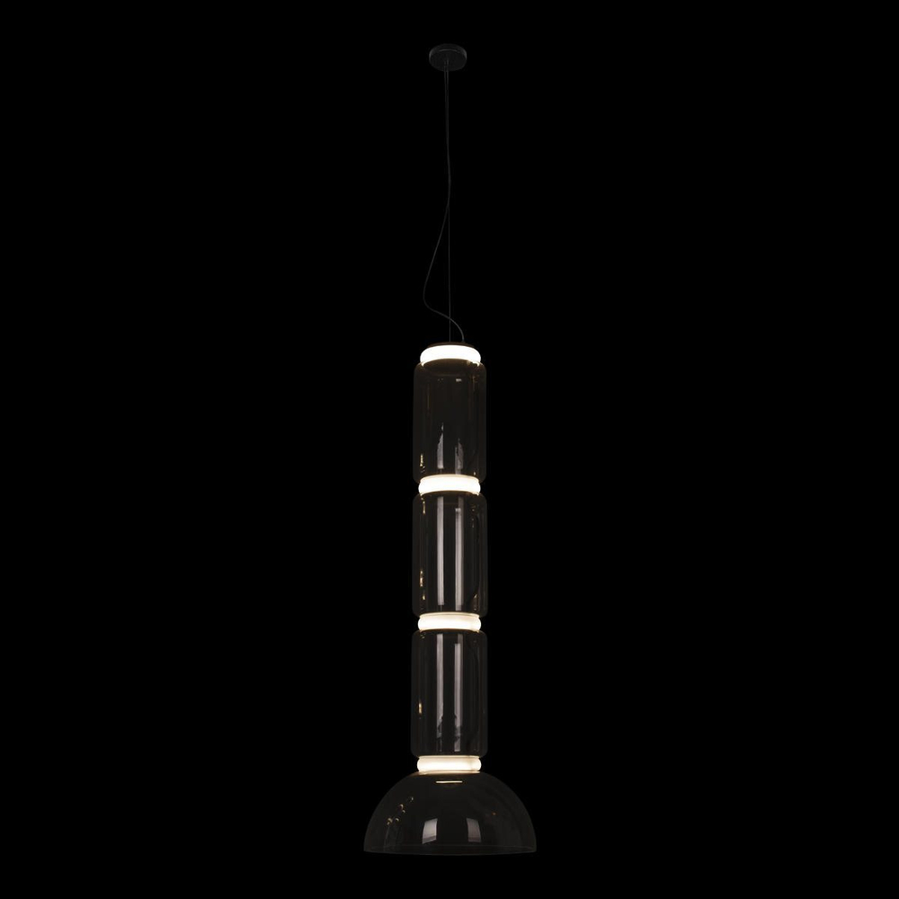 Подвесной светодиодный светильник Loft It Noctambule 10192/L