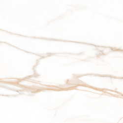 Calacatta Goddes Gold Керамогранит белый 60х60 Полированный
