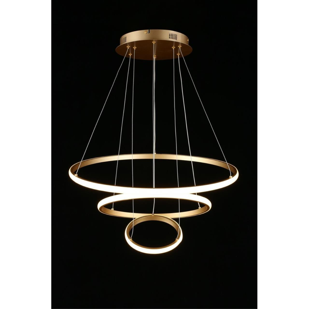 Подвесная светодиодная люстра Aployt Janina APL.018.13.60