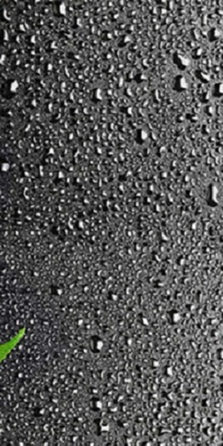 Панель СТАНДАРТ 25_Орхидея 1 Фон №351/1