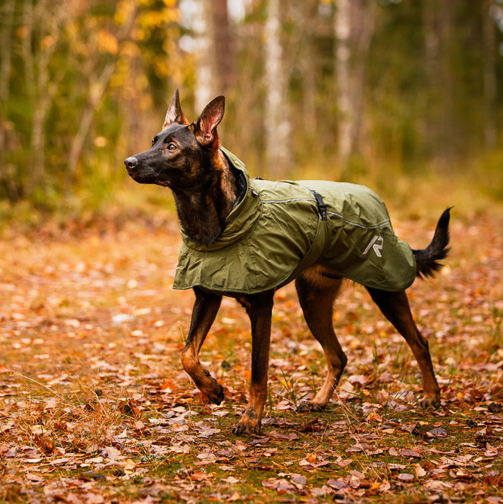 Попона Pets Sky rain coat Rukka
