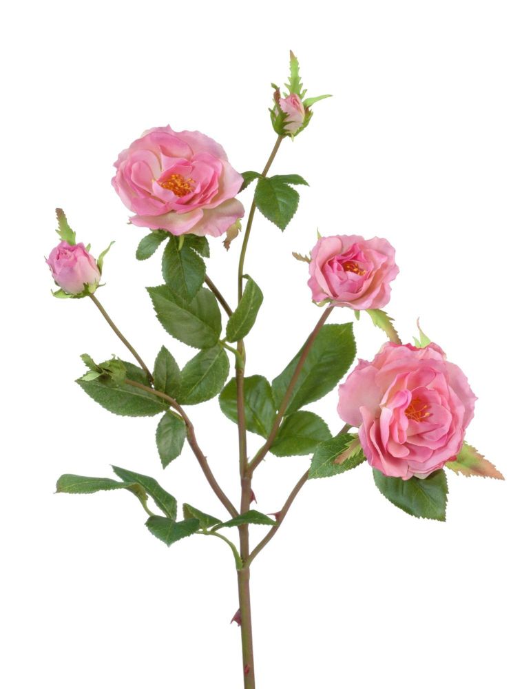 Роза Вайлд ветвь розовая, в- 41 см