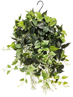Искусственное растение Сциндапсус и Олений рог в подвесном кашпо