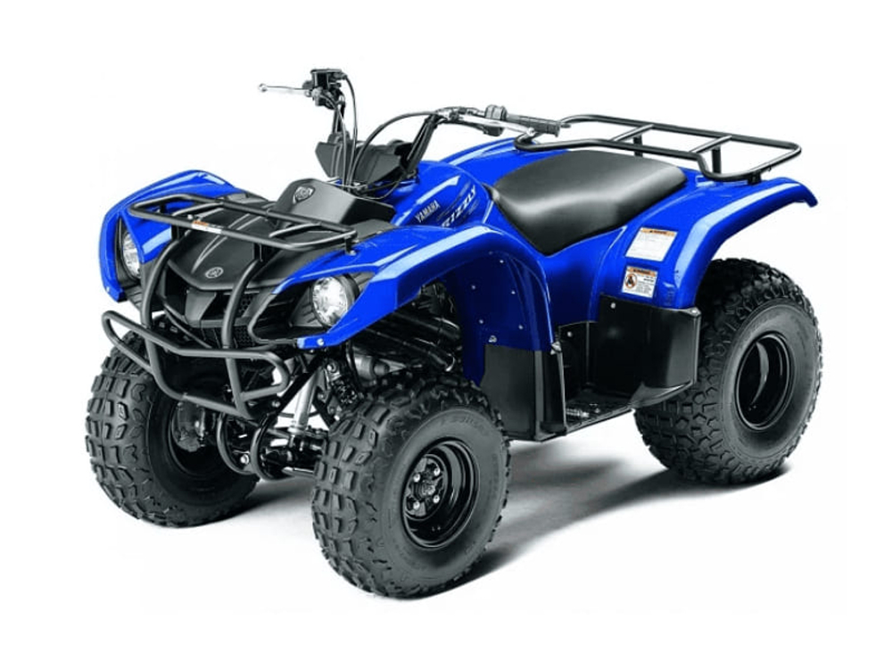 Квадроцикл GRIZZLY 125