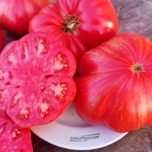 Помидоры Джаз - Jazz Tomato