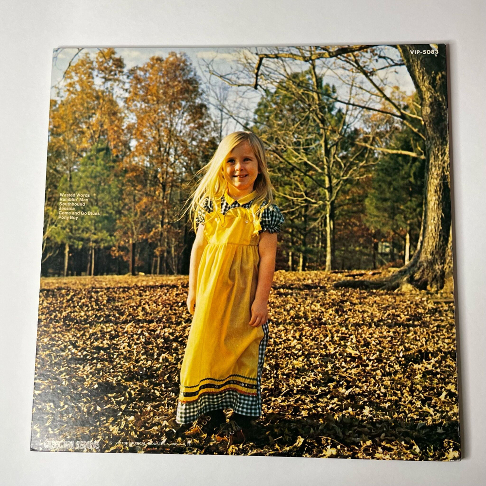 Винтажная виниловая пластинка LP The Allman Brothers Band Brothers And Sisters (Japan 1979) (No Obi)