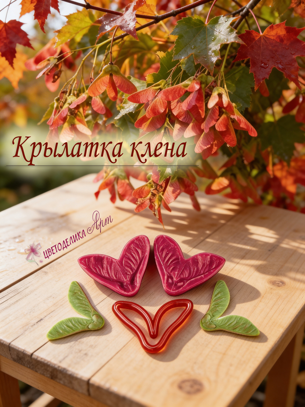 Крылатка клёна