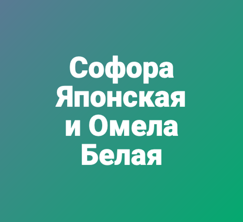 Софора Японская и Омела Белая
