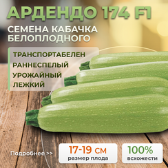 АРДЕНДО 174 F1 семена кабачка (Enza Zaden | Alexagro)