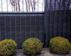 Полимерная лоза