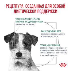 Корм сухой Royal Canin SATIETY WEIGHT MANAGEMENT SMALL DOGS, полнорационный диетический для взрослых собак мелких пород для снижения веса