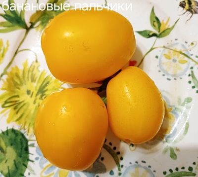 ГНОМ БАНАНОВЫЕ ПАЛЬЧИКИ