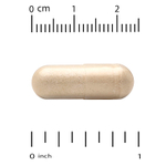 California Gold Nutrition, пчелиный прополис, 1000 мг, 240 капсул