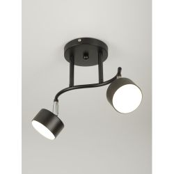 Светильник настенно-потолочный спот Rivoli Vanessa 7074-702 2хGX53 15 Вт поворотный | Rivoli