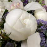 Букет цветов «Лунные мечты»