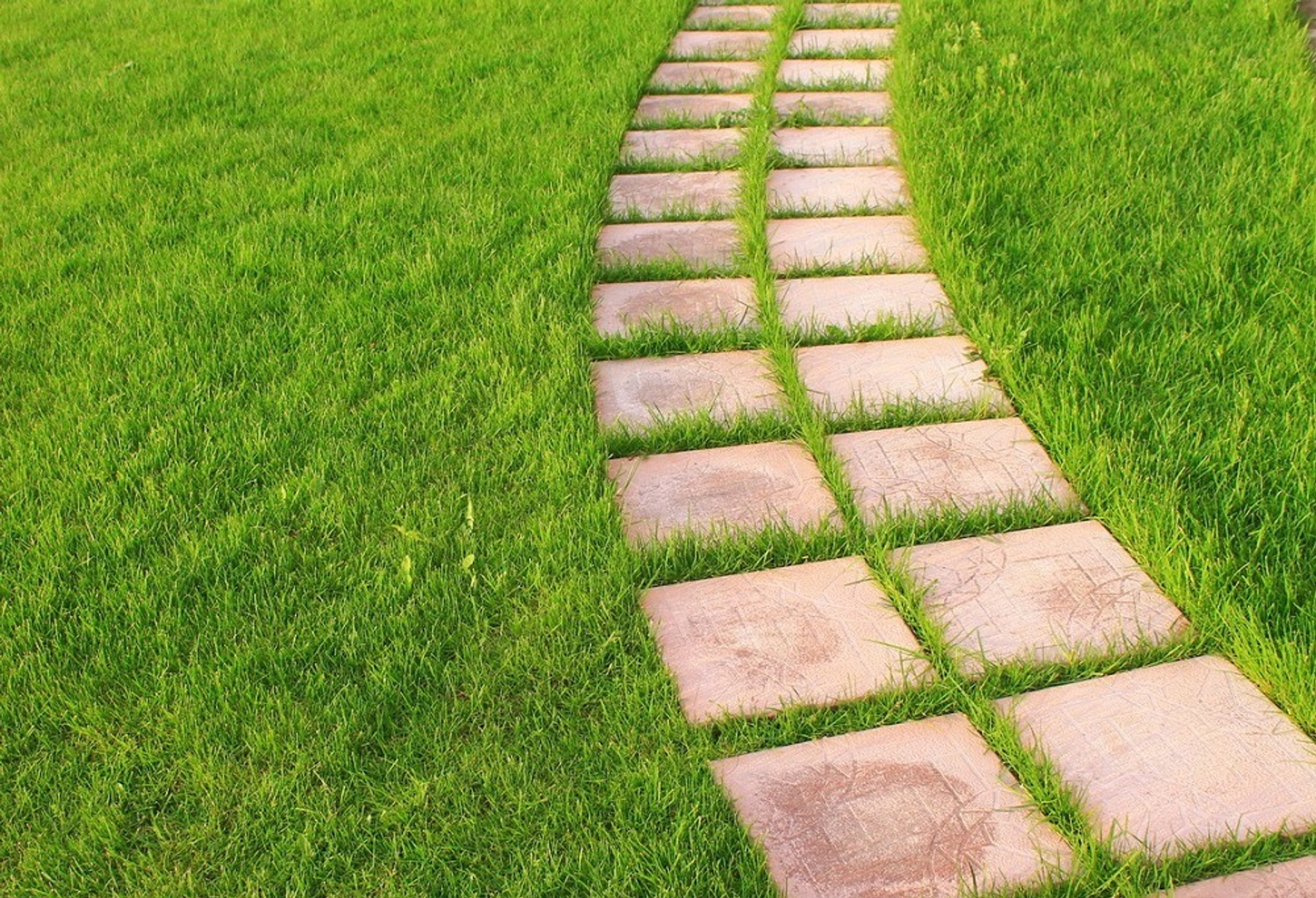 Дорожки – артерии участка