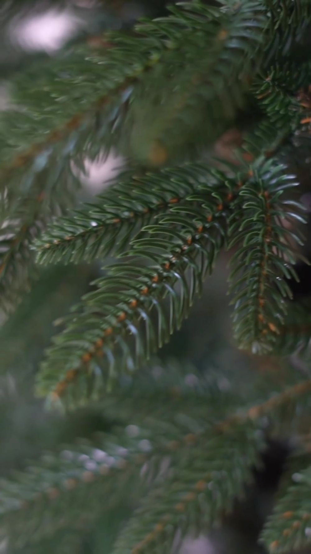 Ель искусственная «Смоленская» (Литая+пвх) 270 см / 2,7 м