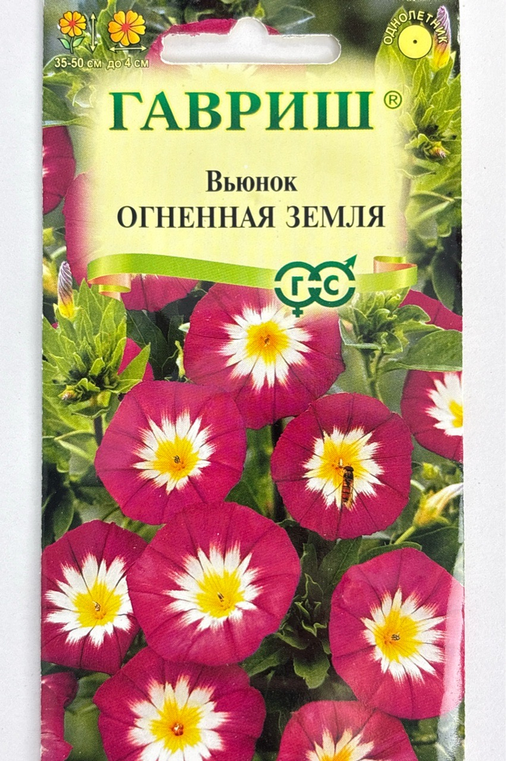 Вьюнок Огненная земля 0,5 г СМЦ-501