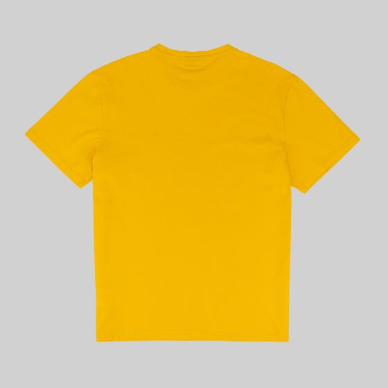 Футболка мужская Napapijri Salis Short Sleeve Sum артикул:NA4H8DY1H - купить в магазине Дайс