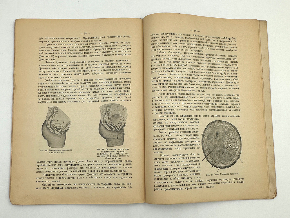 Панцер Г. Женщина. Разъемная модель.  СПб.; Киев; Харьков: Южно-русское изд-во Ф.А. Иогансон, 1907