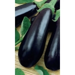 Семена Баклажан Галич (Марс) 0,25гр Б/П