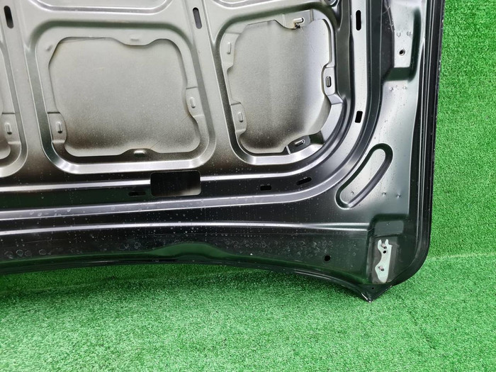 Капот Hongqi HS5 (2019-н.в.)