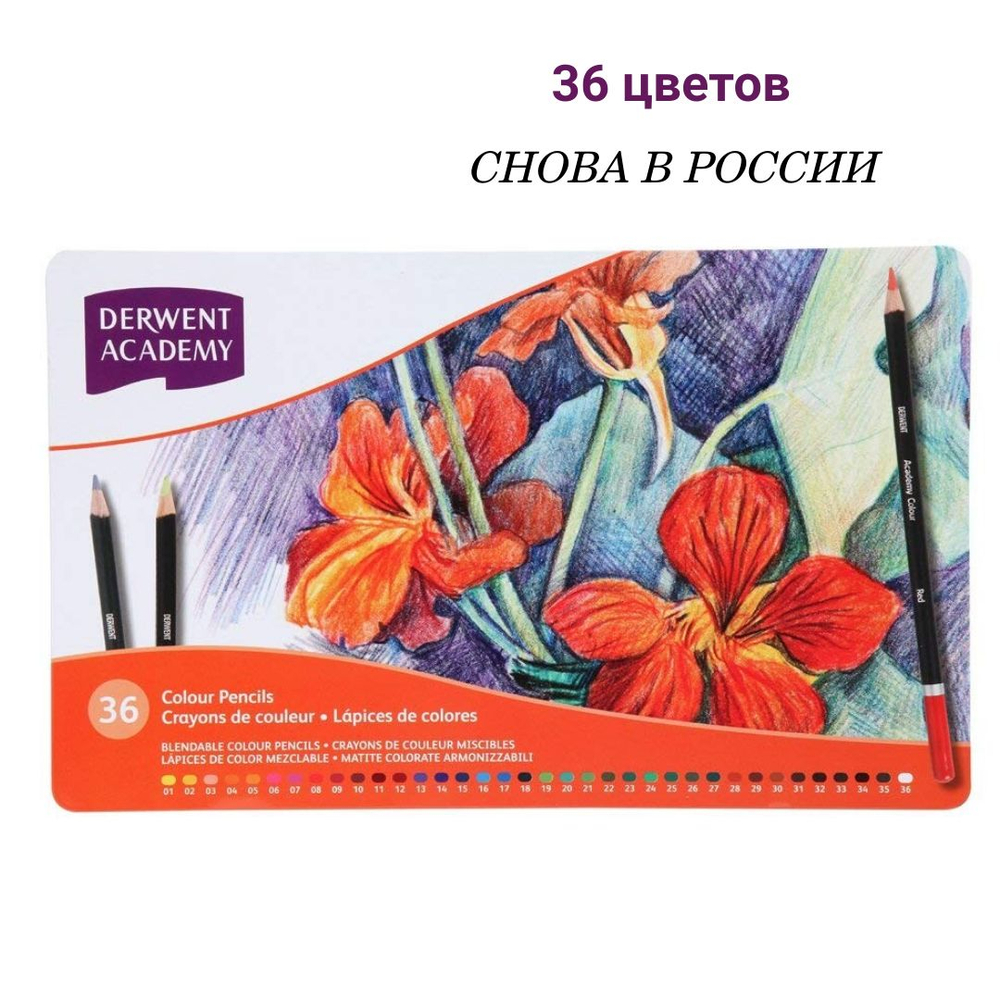 Набор акварельных цветных карандашей Derwent Academy 12 цветов