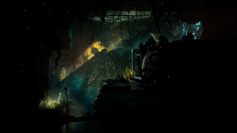Somber Echoes (для ПК, цифровой код доступа)
