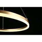 Подвесная светодиодная люстра Aployt Armel APL.049.13.40