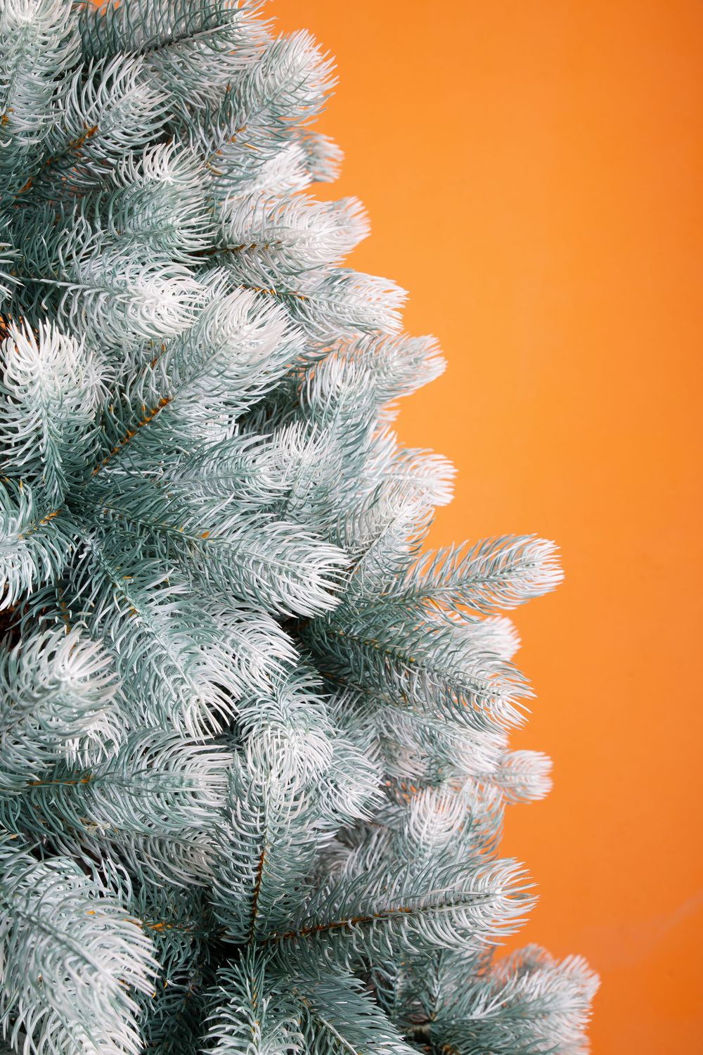 Ель искусственная «Русская Императрица голубая с белыми кончиками» (Литая хвоя) от 1,2 м до 3 м