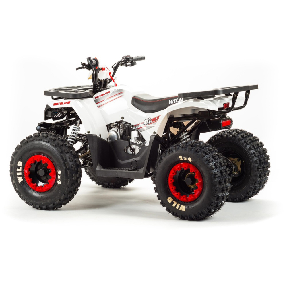 Квадроцикл Motoland 125 WILD BASIC белый