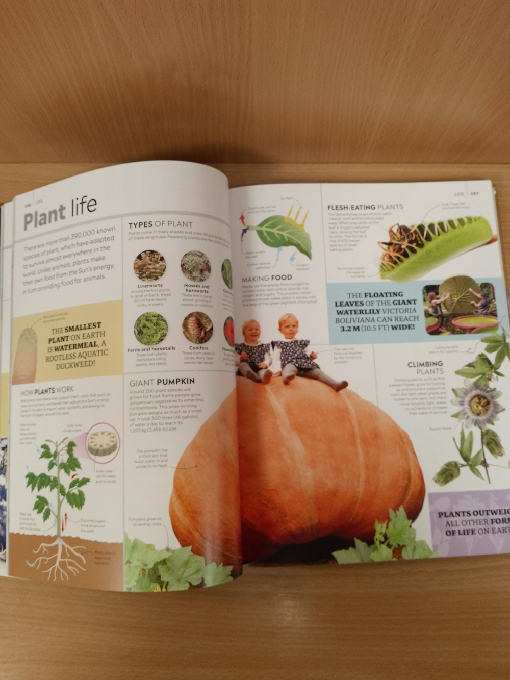 DK Eyewitness Encyclopedia of Everything The Ultimate Guide to the World Around You. Hardcover