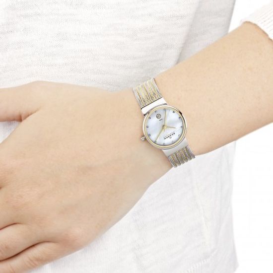 Женские часы Skagen 355SSGS