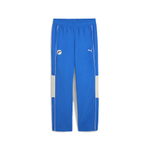 Мужские брюки PUMA SDS Relaxed Track Pants