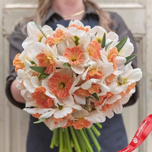 Нарцисс Прекоушес Закупка М79 сентябрь 2026